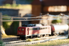 20130413-dsc_5749jpg_9608256275_o