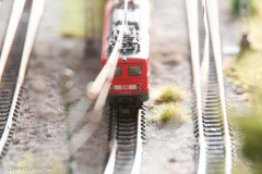 20130413-dsc_5761jpg_9611505730_o