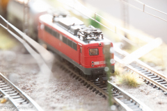20130413-dsc_5763jpg_9608273443_o