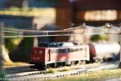 20130413-dsc_5749jpg_9608256275_o