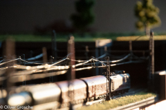 20130413-dsc_5751jpg_9611492966_o