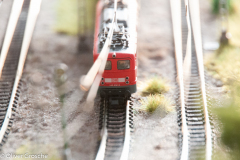 20130413-dsc_5761jpg_9611505730_o