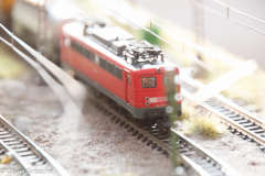 20130413-dsc_5763jpg_9608273443_o