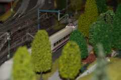 20061003-170725-0177-SpurH0