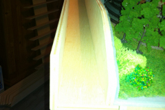 2013-02-12161319-0276-Teil21