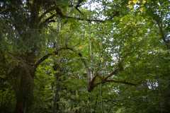 20080828-2008-08-28_13-33-56_2008-08-28_13-34-00__DSC6496.jpg