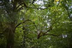 20080828-2008-08-28_13-33-56_2008-08-28_13-34-00__DSC6496.jpg